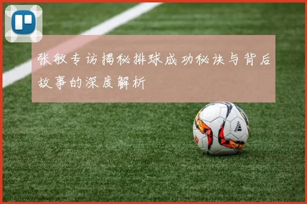 张敏专访揭秘排球成功秘诀与背后故事的深度解析
